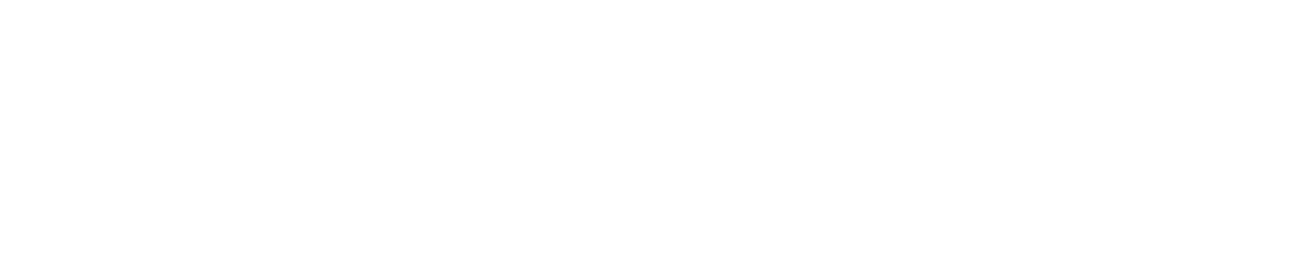 Clearwater Whole Property Management white logo